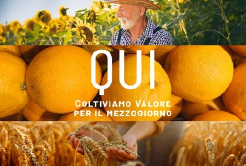 pagina_sito_BdM_ColtiviamoValore_479x324-01
