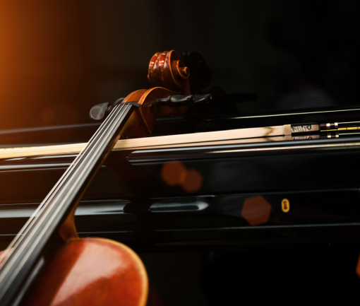 INTRANET BDM CRO_BANNER_510X433 - 91