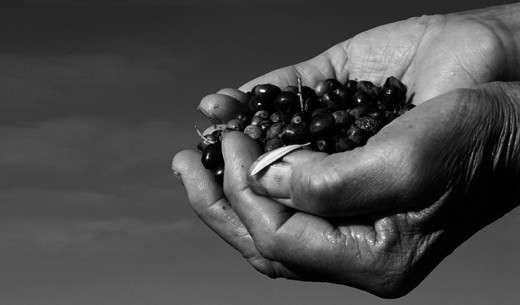 CorrMezzogiorno_311x422 CorrMezzogiorno_311x422