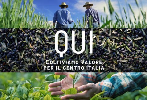 pagina_sito_CRO_ColtiviamoValore_479x324-02